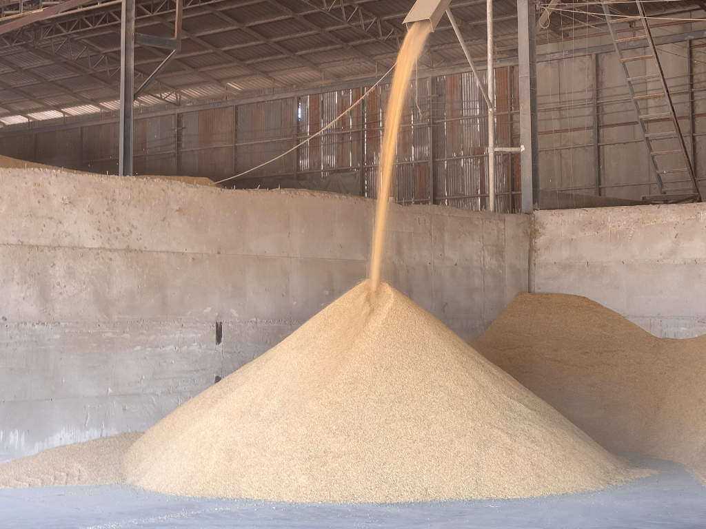 rice-bulk-material-handling Bulk material pouring from chute into warehouse